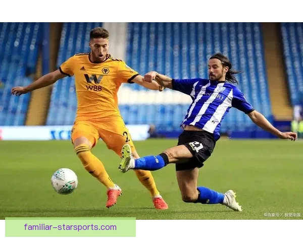 谢菲尔德星期三俱乐部最新动态：球队阵容调整及未来赛季展望