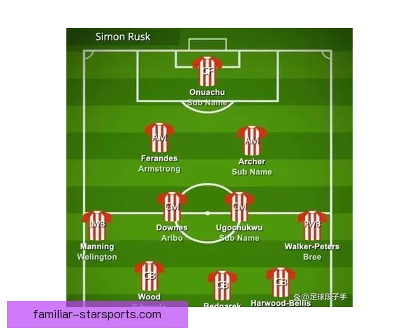 南安普顿俱乐部新赛季阵容调整及引援策略全面解析