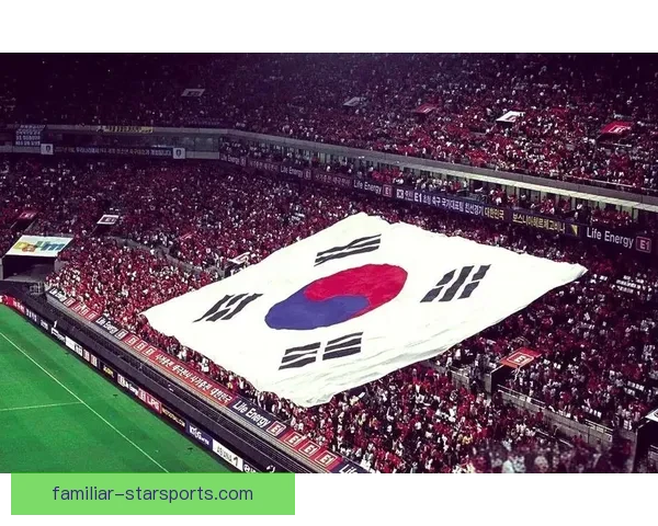 韩国世界杯：回顾历史赛事与韩足发展对足球文化的深远影响
